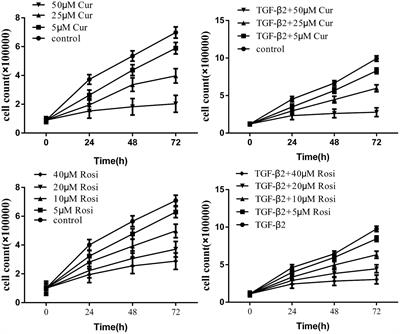 Curcumin Inhibits Transforming Growth Factor β Induced Differentiation of Mouse Lung Fibroblasts to Myofibroblasts